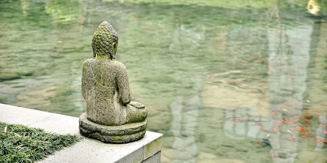 Medizin: Es kann auch einmal Chinesisch sein